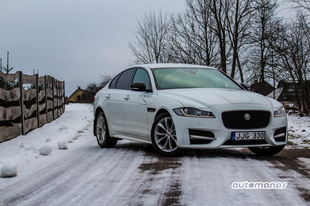 Jaguar XF (1)