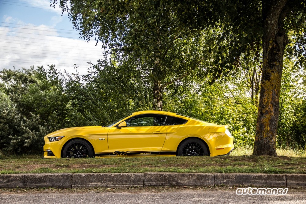 Ford Mustang (16)