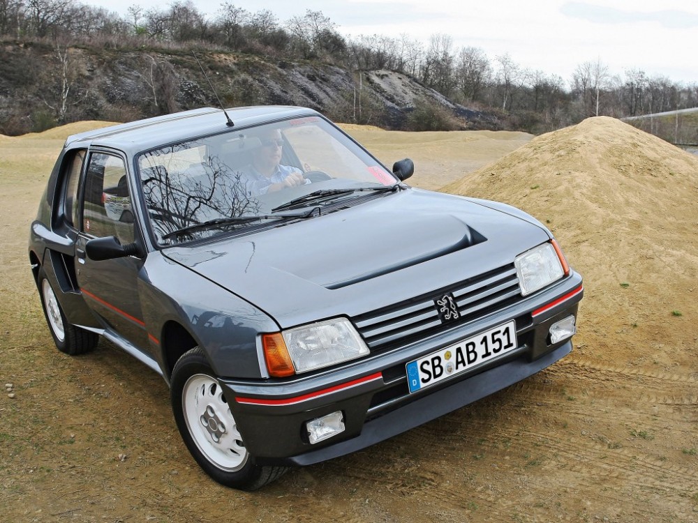 peugeot_205_t16_10[1]