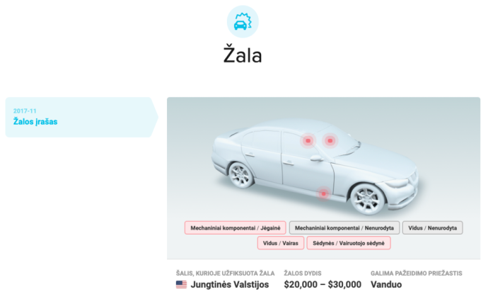 Permainingi ir retkarčiais nenuspėjami orai kelia pavojų ne tik vairuotojams, bet ir jų ištikimiems kompanionams – automobiliams.